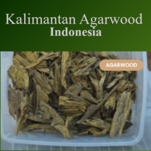 Kalimantan Agarwood